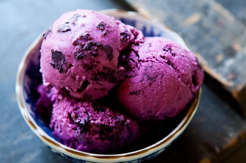 Blueberry Frozen Yogurt 